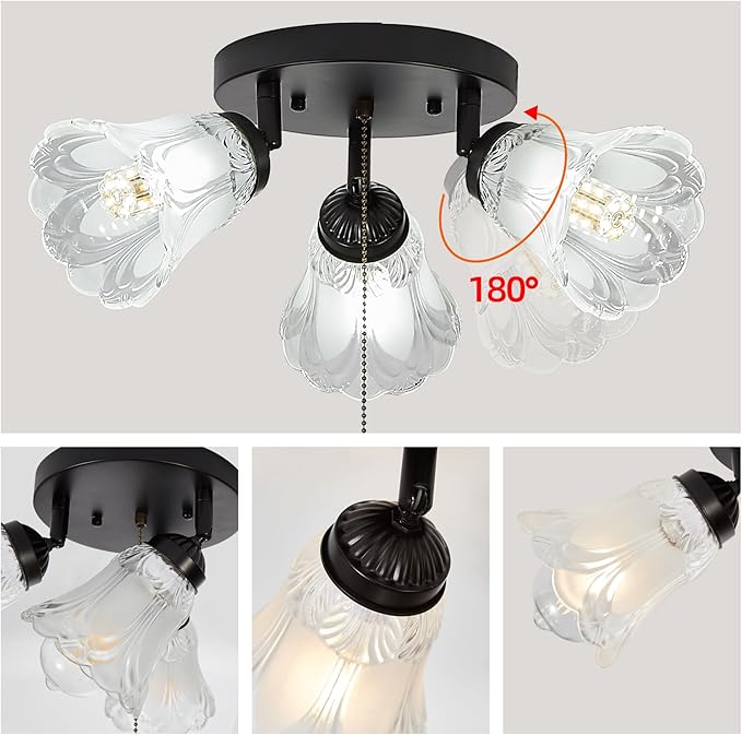 3-Light Flush Mount Ceiling Light with Pull Chain Clear and Frosted Glass Low Profile Lighting Fixtures for Kitchen Living Room Dining Room Closet, Black