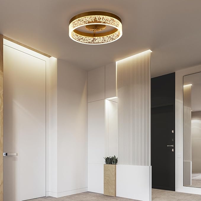 Jaycomey Modern LED Ceiling Light Fixture, 11.65" Flush Mount Kitchen Lighting Gold with Clear Seeded Acrylic Lampshade,Dimmable Round Ceiling Lamp Lights for Bedroom Dining Room