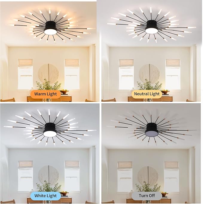 Modern Ceiling Light LED Flush Mount Ceiling Light for Living Room,Kitchen,Dining Room,Bedroom Fireworks Design Dimmable with Remote Control & Memory Function Lighting Fixture (Black,28 Light)