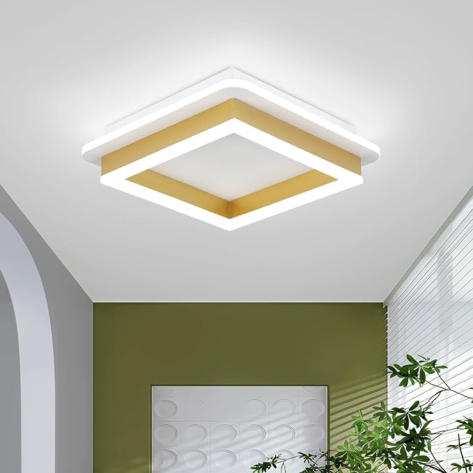 CANEOE Square Flush Mount Ceiling Light 24W Modern Led Hallway Ceiling Light Fixtures Gold Close to Ceilings Lamp for Bedroom Bathroom Living Room Laundry Kitchen