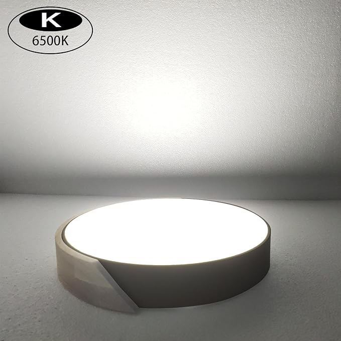 LED Ceiling Lights,12 Inch Black Modern Flush Mount Lighting Fixture,Round Shaped Wood Ceiling Lighting,30W,6500K Cool White