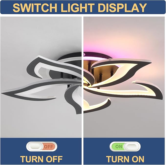 Modern LED Ceiling Light, Dimmable Flush Mount Ceiling Lights, Remote Control Acrylic Ceiling Lamp Fixture for Living Room Dining Room Bedroom,3000-6000K,Black