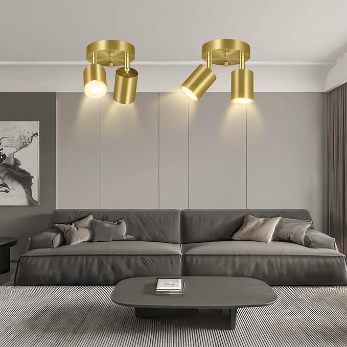 2 Light Track Lighting Fixtures Ceiling, Gold Round Directional Ceiling Spotlight, GU10 Flush Mount Ceiling/Wall Fixture, Adjustable Modern LED Track Lights for Kitchen/Living Room, Bulb Not Included