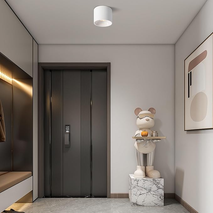 Flush Mount Dimmable Ceiling Light, Modern Close to Ceiling Light Fixtures for Hallway, Closet, LED 3000K White Cylinder Ceiling Light Spot Lights for Living Room Kitchen Entryway Foyer
