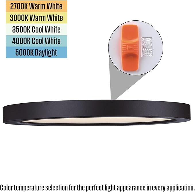 Westinghouse Lighting LED Indoor/Outdoor Flush Mount Fixture with Color Temperature Selection