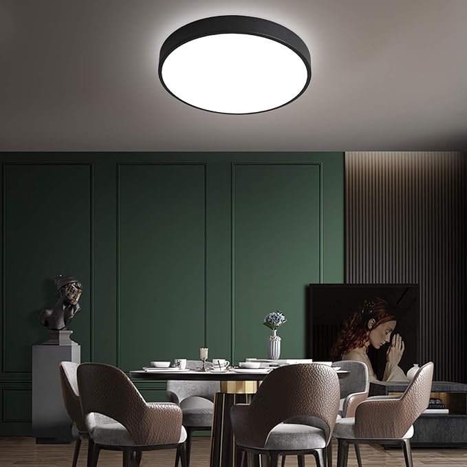 15.8 Inch LED Flush Mount Ceiling Light 2PACK, 30W Black Kitchen Light Fixtures (200W Equi) 2400lm, 5000K Daylight Round Light Fixture Mount for Hallway, Bedrooms, NOT-DIMMABLE