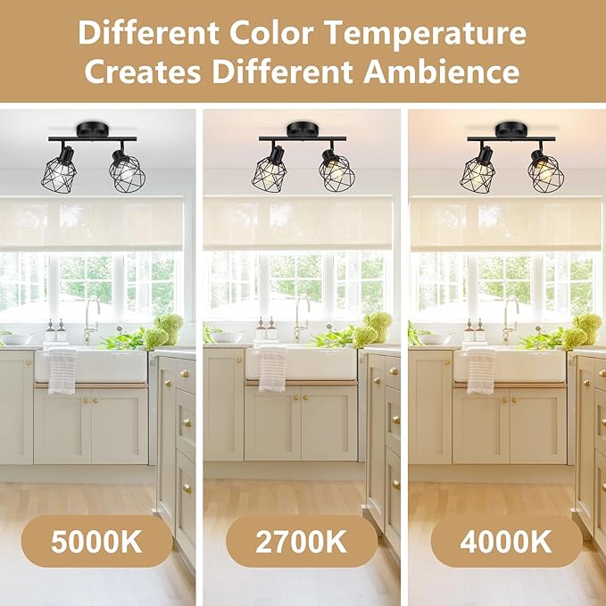 2-Lights Kitchen Light Fixtures Ceiling Mount, Adjustable Semi Flush Mount Ceiling Light with Metal Wire Cage, Vintage Track Spotlight Ceiling Fixtures for Dining Room, Farmhouse, Entryway