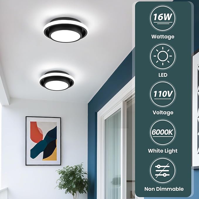 Hallway Light Circle Modern Ceiling Light Fixture, 12IN Modern Ceiling Lamp 6000K LED Ceiling Light Black Ceiling Lighting for Living Room, Balcony Bedroom