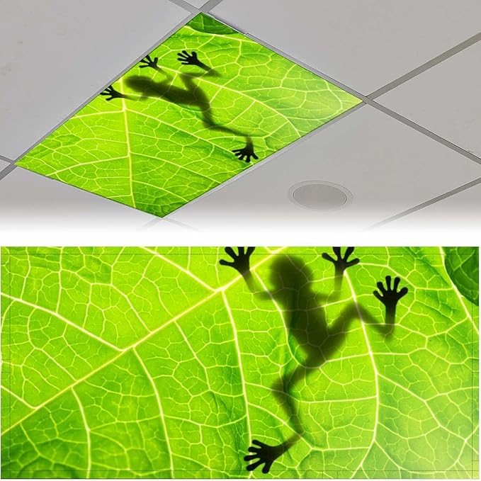 2 Pack Fluorescent Light Cover for Ceiling, Funny Frog Magnetic Classroom Lights Covers, School Supplies for Home Office