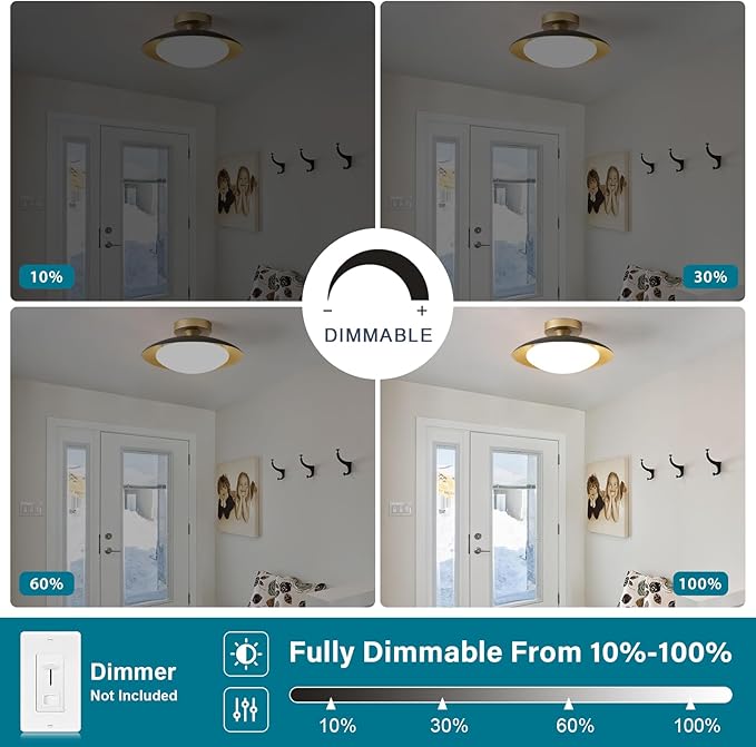 Dimmable Modern Semi Flush Mount Ceiling Light Fixture,Small Black and Gold LED Glass Shade Kitchen Ceiling Lights,5CCT In One Light Fxiture for Hallway Entryway Bedroom Laundry Room Foyer(11.81in)