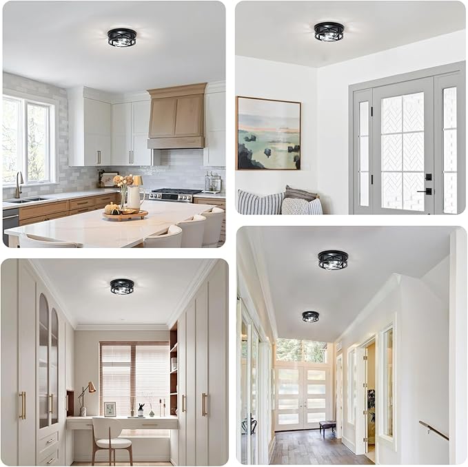 Hallway Ceiling lamp, 11 inch Farmhouse Metal cage Style,Suitable for Corridors, Entrances, Balconies, Kitchens,etc,Adjustable lamp Holders, 2 pcs, 6000K Cold White lamp (Black)