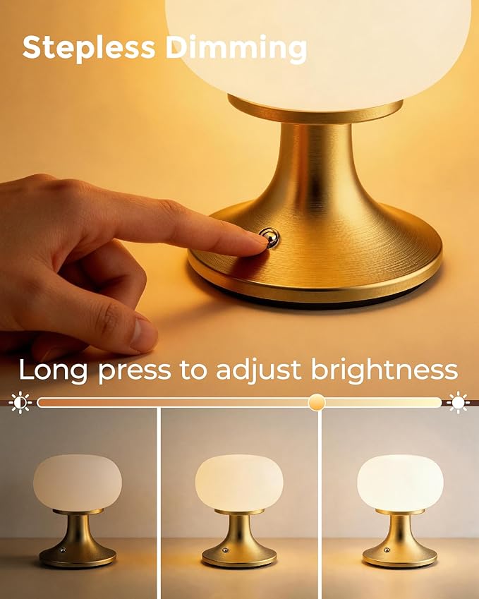 Cordless Table Lamp, LED Mushroom Lamp with Glass Shade & Stepless Dimming, Touch Control Nightstand Lamp for Bedroom,Living Room,Dining Table