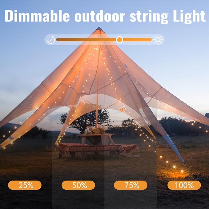 WERTIOO Globe String Lights Battery Operated – 33ft 100 LED Globe Lights with Remote, 8 Modes & Timer – Warm White String Lights for Bedroom, Christmas Tree, Garden, Tent, Camping, Indoor & Outdoor