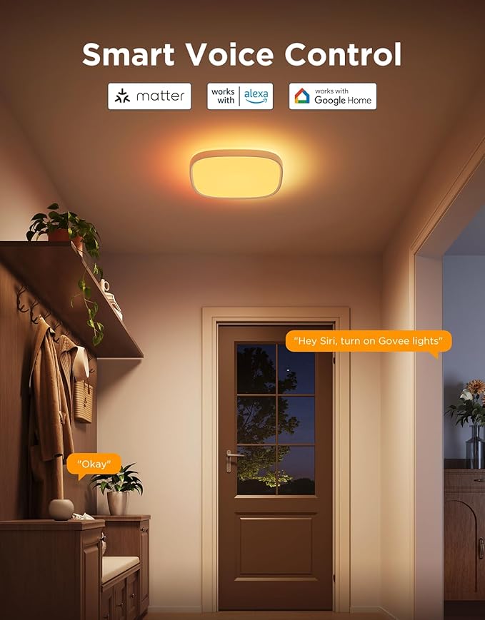 Govee Smart Ceiling Light, RGBIC LED Square Ceiling Light Fixture Works with Matter, 2400LM Flush Mount Light Fixture, DIY Colors, 2700K-6500K Dimmable for Bedroom, Living Room, 12 Inch, 1 Pack