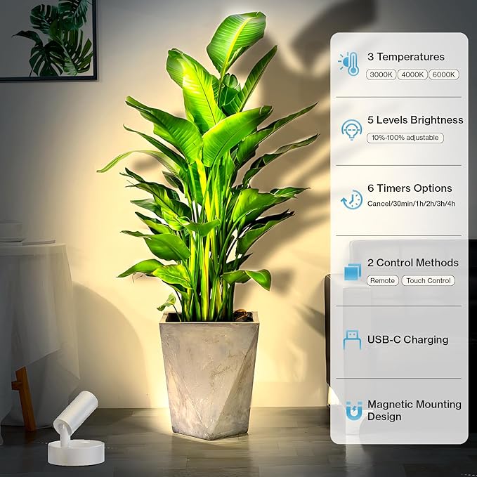 Olafus LED Wireless Spotlight Indoor, Rechargeable Battery Uplighting Indoor with Remote & Timer, 3CCT Picture Lights for Wall, Mini Art Accent Light for Plants, Artwork, Painting, 2 Pack