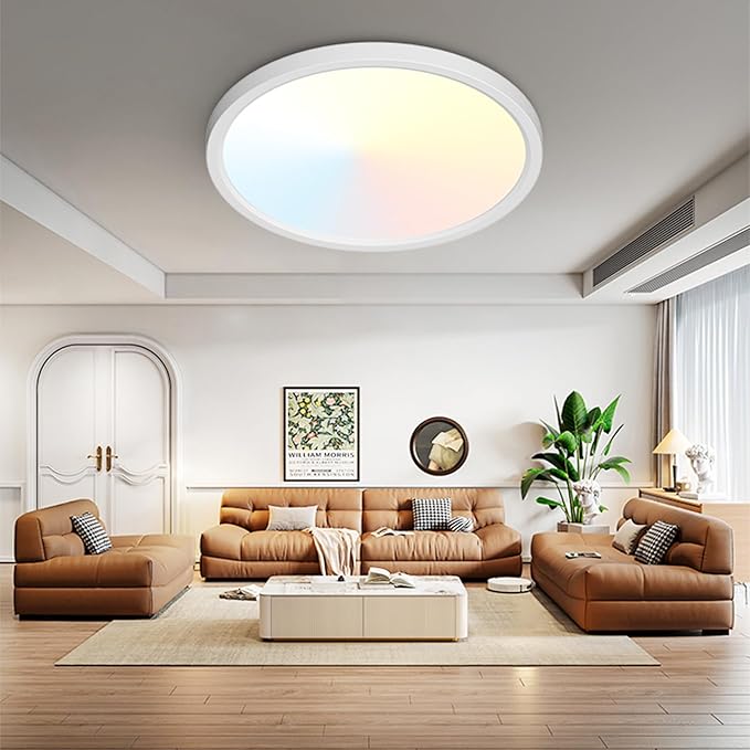 Peasur 19Inch LED Ceiling Light Flush Mount, 5CCT 3000K-6500K Adjustable Ceiling Light Fixture, 3600LM 36W Bright White Flat Lighting Fixture for Hallway Kitchen Bathroom Bedroom