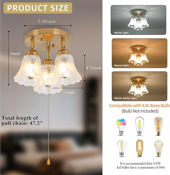 3-Light Flush Mount Ceiling Light with Pull Chain Clear and Frosted Glass Low Profile Lighting Fixtures for Kitchen Living Room Dining Room Closet (Brass)
