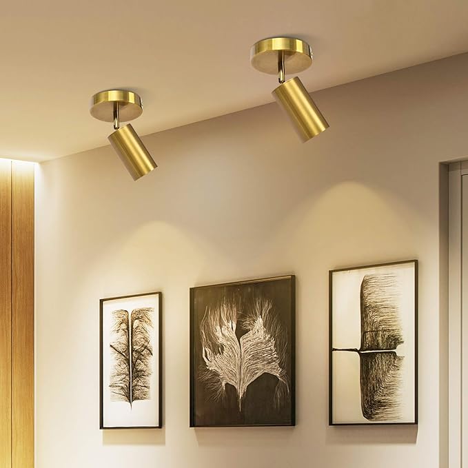 Track Lighting Ceiling Spotlight, Gold Ceiling Light Fixture, Gu10 Spotlights Indoor Angle Adjustment Modern Wall Lamp for Living Room, Gallery, Cabinet, Hallway, Bedroom 2 Packs