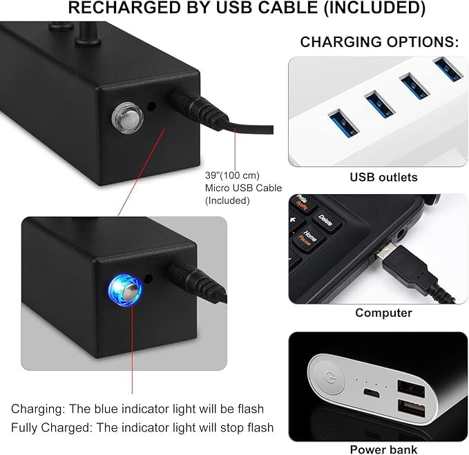 RAIFOOLLY Picture Light, Picture Lights for Wall Cordless, 13inch Picture Lights with Timer and Dimmable, 5000mAh Battery Wall Lights for Display Gallery Painting Art Frame Portrait - Black