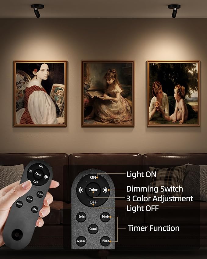 EZVALO Spotlights Indoor with Remote, 5500mAh Rechargeable Picture Lights, Wireless LED Uplighting with Timer＆Dimmable, 3CCT, Mini Plant Spot Lights for Painting, Artwork (4Pack-Black)