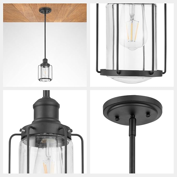 Prominence Home Lincoln Woods 1 Light Matte Black Industrial Pendant Light with Cage and Clear Glass - 51546-01
