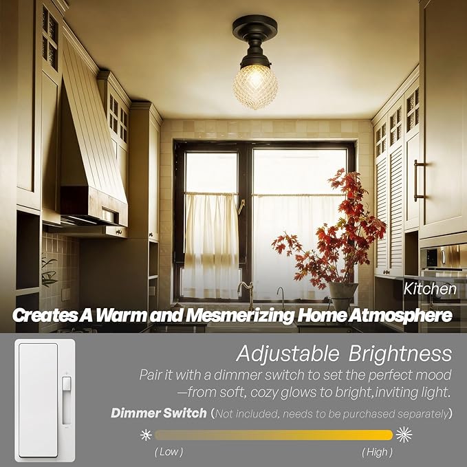 Schoolhouse Semi Flush Mount Ceiling Light,Black Close to Ceiling Light Fixtures with Hand-Blown Glass Shade Modern Hallway Ceiling Lamp for Laundry Entryway Kitchen Bathroom E26