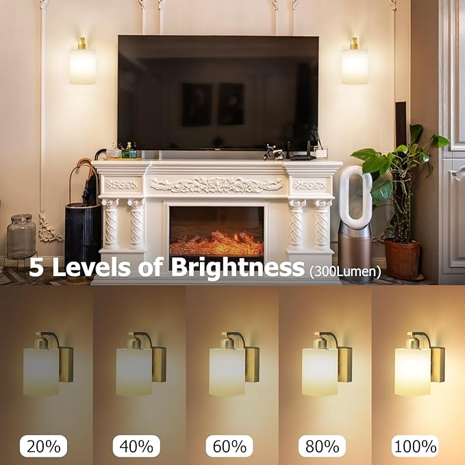 iThird 1 Pack Battery Operated Wall Sconce Light: Gold 6000mAh Rechargeable Wall Lights with Touch and Remote Control, 4 CCT Dimmable Wireless Wall Lamps for Bedroom Living Room Hallway