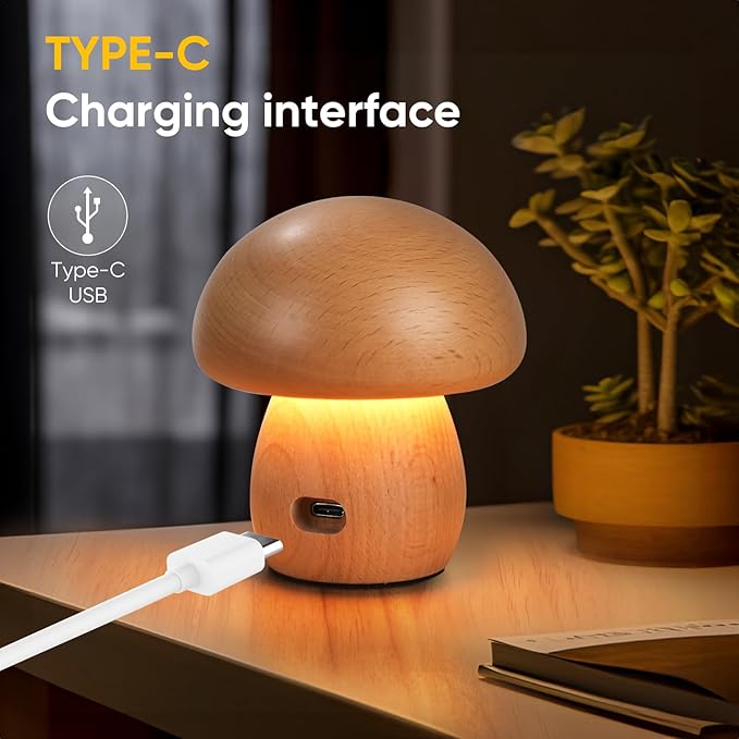 LONRISWAY Portable Cordless Rechargeable Battery Operated Lamp,Stepless Dimming, Small Table Lamp Portable Night Light, Dimmable Touch Control Warm LED Light for Bedroom, Nursery, Patio Decor
