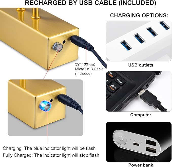 Picture Light, Picture Lights for Wall Cordless, 13inch Picture Lights with Timer and Dimmable, 5000mAh Battery Wall Lights for Display Gallery Painting Art Frame Portrait - Plated Gold, Metal