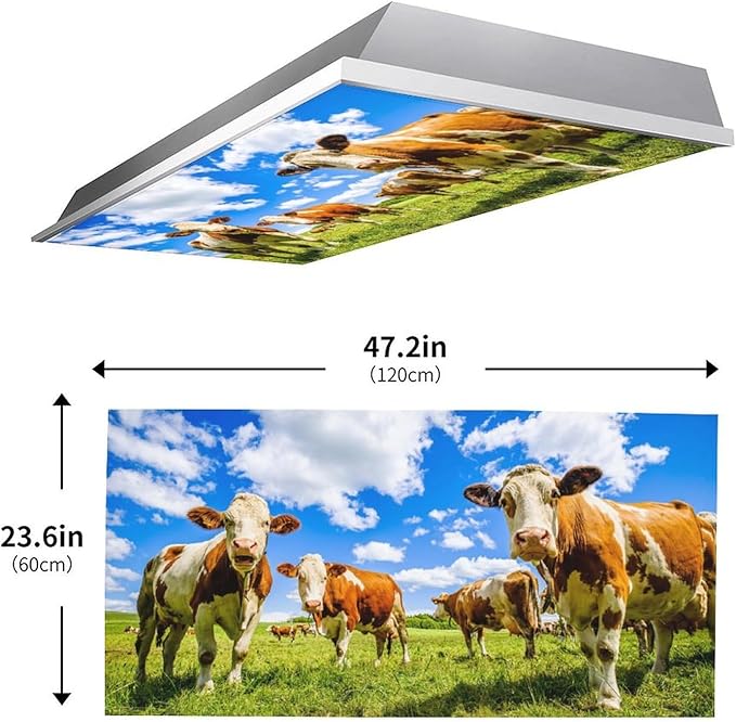 2 Pack Fluorescent Light Covers - Funny Cattle Magnetic Ceiling Light Covers for Classroom & Home Office