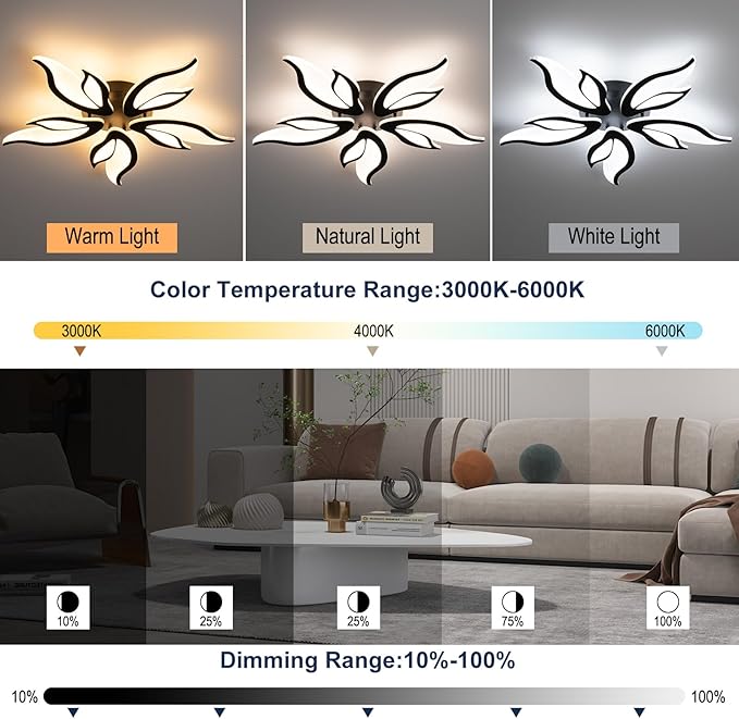Modern Ceiling Light Fixture, 3000K-6000K Dimmable Flush Mount Ceiling Light, 45W Acrylic Black LED Ceiling Lights for Living Room, Bedroom, Dining Room,23.6In