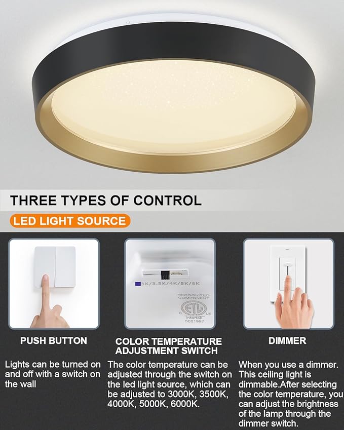 ANYLOVE 10 Inch Modern Flush Mount Ceiling Lights,White Gold Plastic Round Ceiling Light,Dimmable 3000K,3500K,4000K,5000K,6000K,for Living Room,Dining Room,Bedroom,Kitchen (Black and Gold, 10 Inch)