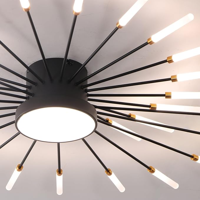 Modern Ceiling Light LED Flush Mount Ceiling Light for Living Room,Kitchen,Dining Room,Bedroom Fireworks Design Dimmable with Remote Control & Memory Function Lighting Fixture (Black,28 Light)