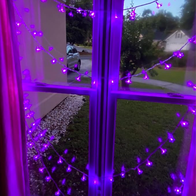 Battery/USB Operated 9.8ft 30LED Purple Cherry Blossom Flower String Lights | Cute Fairy Lights For Bedroom, Valentine'S Day, Christmas, Easter, Wedding, Party, Birthday Indoor Outdoor Romantic Decor
