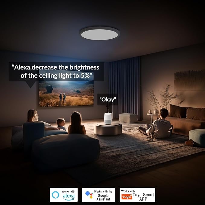 2 Pack 16 Inch Smart RGB LED Ceiling Light with Remote, WiFi Flush Mount Ceiling Light Compatible with Alexa & Google Home, 32W=3200LM Dimmable, DIY Colors, for Bedroom Living Room