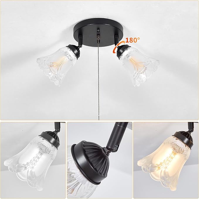 2-Light Flush Mount Ceiling Light with Pull Chain Clear and Frosted Glass Low Profile Lighting Fixtures for Kitchen Living Room Dining Room Closet, Black