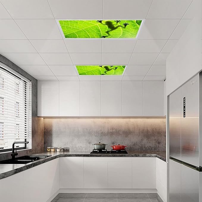 2 Pack Fluorescent Light Cover for Ceiling, Funny Frog Magnetic Classroom Lights Covers, School Supplies for Home Office