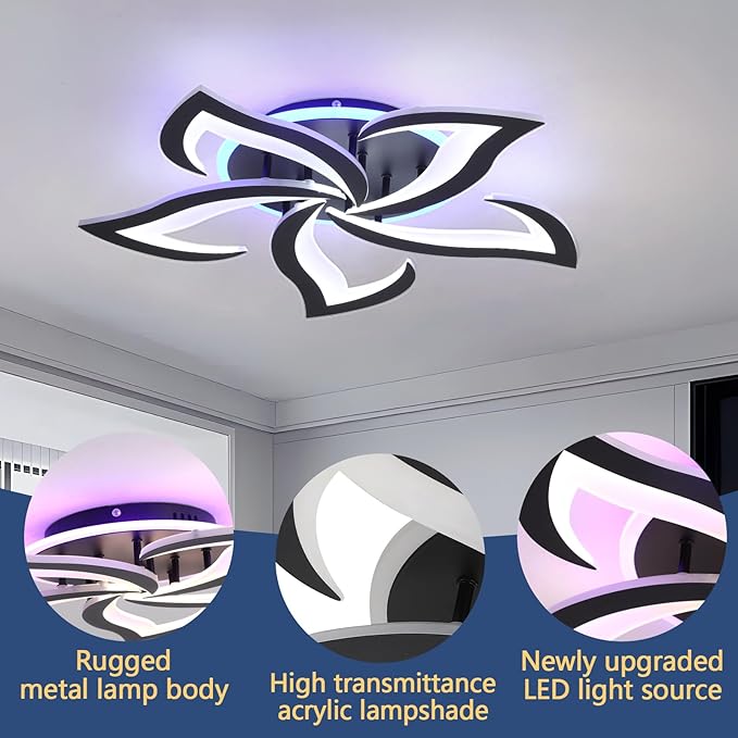 Modern LED Ceiling Light, Dimmable Flush Mount Ceiling Lights, Remote Control Acrylic Ceiling Lamp Fixture for Living Room Dining Room Bedroom,3000-6000K,Black