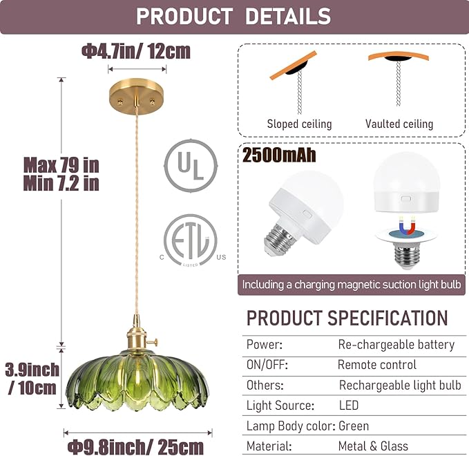 Battery Operated Pendant Light,Vintage Light Fixtures RGB Rechargeable Light Bulb 2500mAh 9.8in with Remote Control Wireless Adjustable Chandelier for Kitchen Island Hallway 1 Light