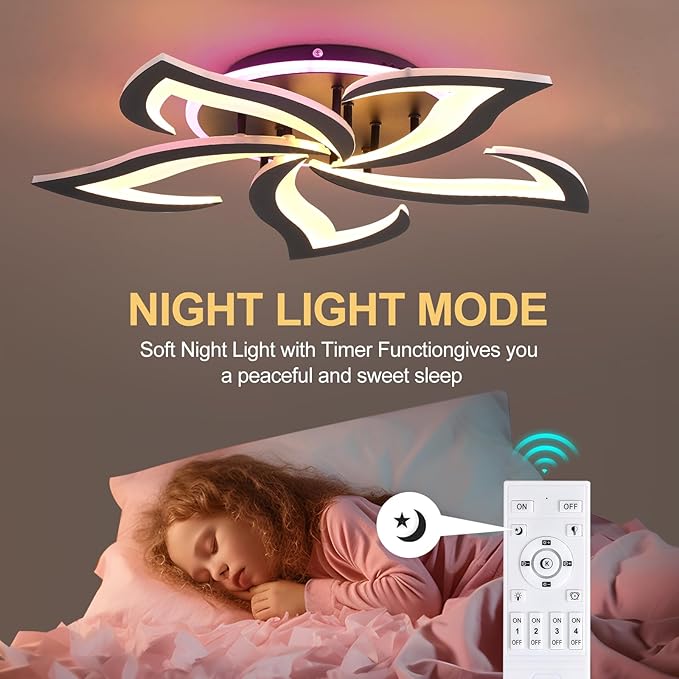 Modern LED Ceiling Light, Dimmable Flush Mount Ceiling Lights, Remote Control Acrylic Ceiling Lamp Fixture for Living Room Dining Room Bedroom,3000-6000K,Black