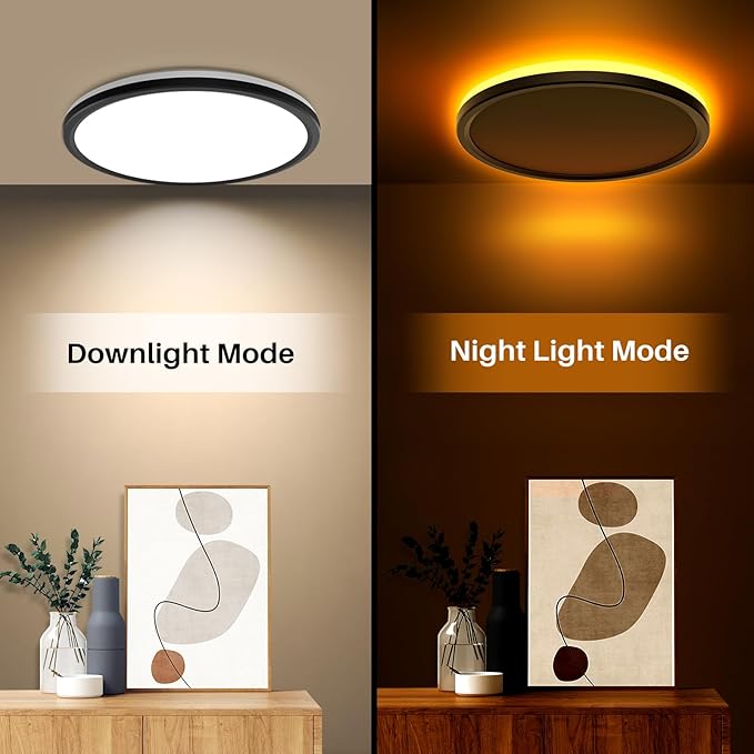 AmazeFan 12Inch LED Flush Mount Ceiling Light with Remote Control, Dimmable Night Light 1800K 3000K/4000K/6500K 24W 2400lm Low Profile Wired Ceiling Lamp for Bedroom LivingRoom Kitchen Hallway-Black