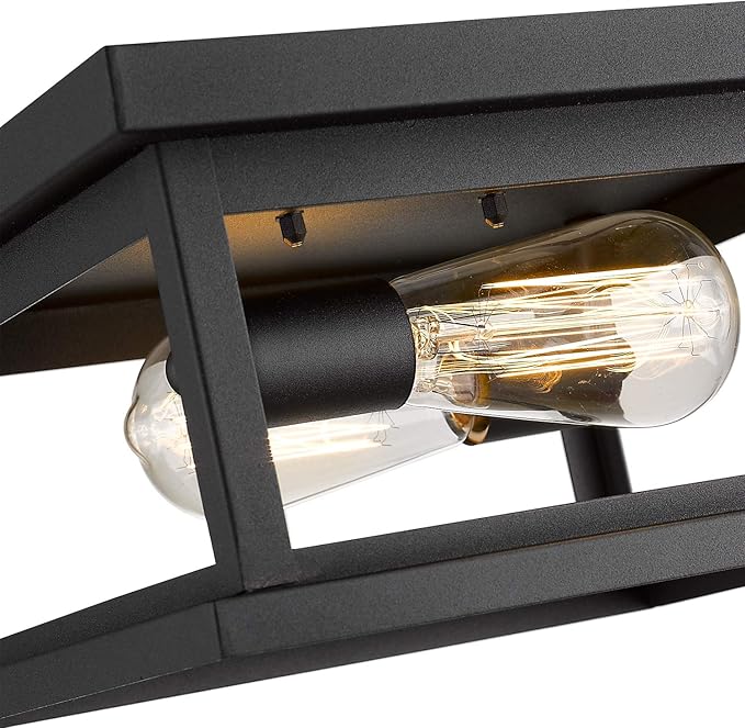 Emliviar Flush Mount Light Fixture, 2-Light 11-inch Ceiling Light in Black Finish, 1803EW1-F1 BK