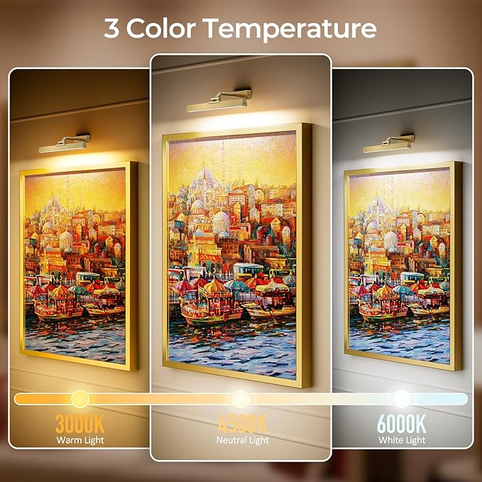 Afyuol Picture Lights for Wall, Brushed Gold Battery Operated Picture Light 16in Art Light CCT Dimmable Recharging Battery Wall Light with Remote Control for Living Room Gallery