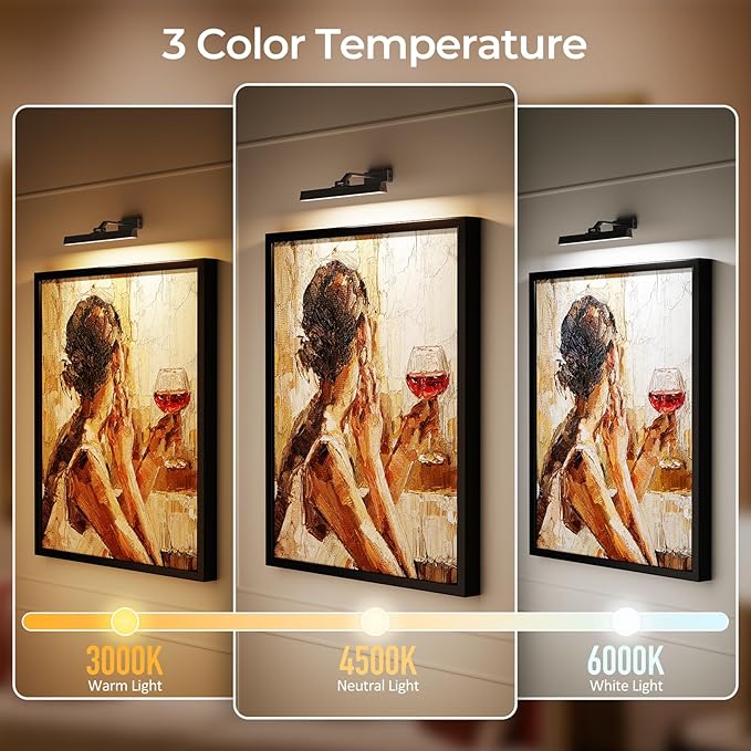 Picture Lights for Wall, Battery Operated Picture Light 16in Gallery Light for Paintings CCT Dimmable Recharging Battery Wall Light with Remote Control for Living Room Gallery Dartboard Art Bathroom