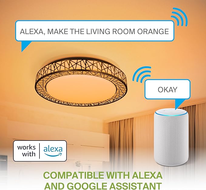 ASD 20 Inch Smart RGBW Flush Mount Ceiling Light with Remote - Matte Black 42W 120V 2700-6500K Dimmable Ceiling Light Fixture, WiFi App Control RGB Lights, Alexa & Google Assistant - ETL, 2 Pack