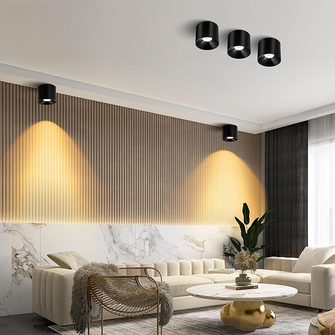Ceiling Light Fixture, Flush Mount Dimmable Ceiling Lights, Modern LED Cylinder Ceiling Light Spot Lights Indoor for Living Room Hallway Entryway Kitchen, 3000K, Black, 3 Pack