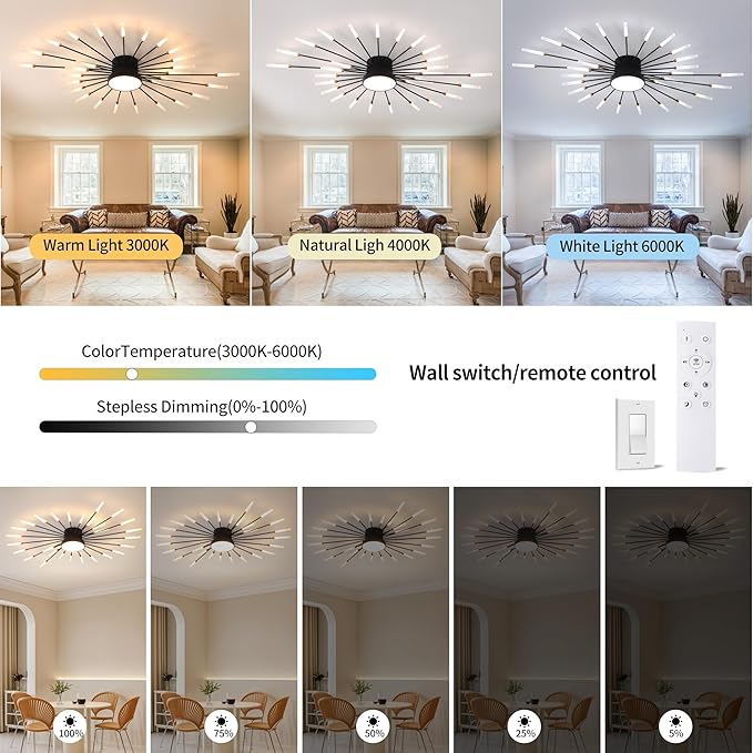 Modern Ceiling Light LED Flush Mount Ceiling Light for Living Room,Kitchen,Dining Room,Bedroom Fireworks Design Dimmable with Remote Control & Memory Function Lighting Fixture (Black,42 Light)