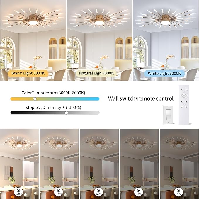 Modern Ceiling Light LED Flush Mount Ceiling Light for Living Room,Kitchen,Bedroom Fireworks Design Dimmable with Remote Control & Memory Function Lighting Fixture (Gold,12 Light)