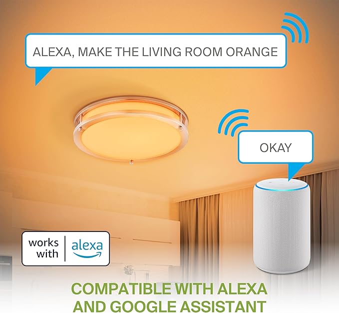 ASD LED 14" Round Flush Mount Lighting, Close to Ceiling Light Fixture | Smart, Multicolor, Dimmable, ETL Listed | 21W 1429LM RGB-2700-6500K 120V | Low Profile Double Ring Lamp | Nickel