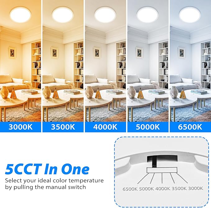 Peasur 12 inch LED Ceiling Light, 3000K/3500K/4000K/5000K/6500K Adjustable Flush Mount Light Fixture, 2400LM 24W Thin White Round Lamp for Hallway Kitchen Bathroom Bedroom, 2Pack